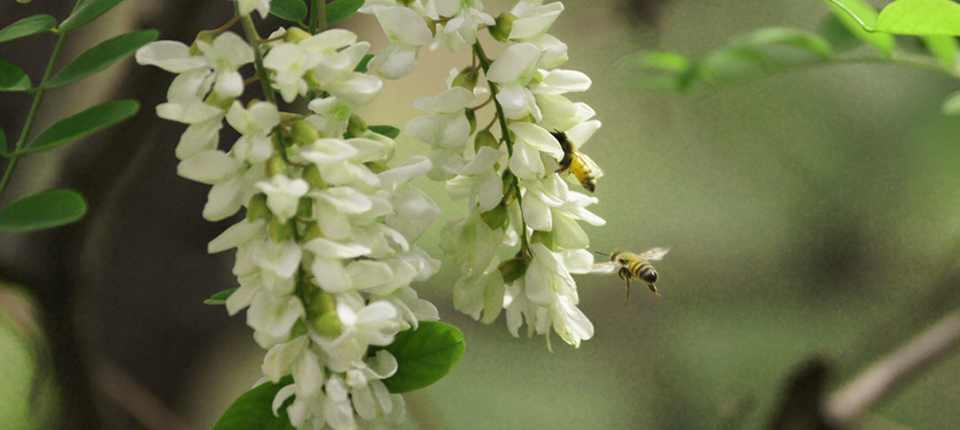 西湖国际·(中国区)网站入口