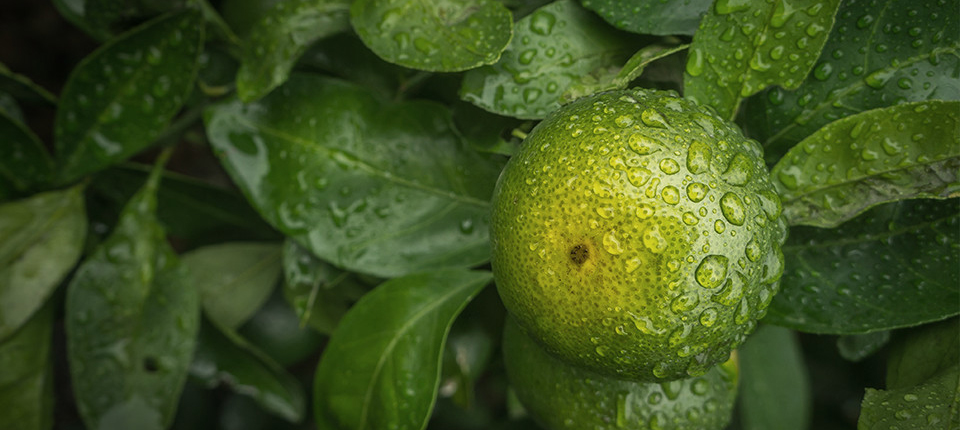 西湖国际·(中国区)网站入口